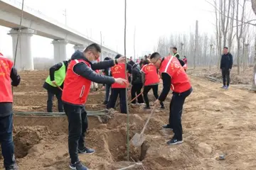 有关温暖春风的作文精选范例（《温暖般的春天》）