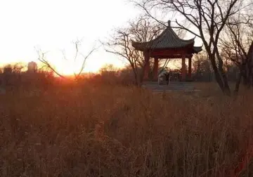 温暖季节的话题优秀作文（《冬日里的温暖》）