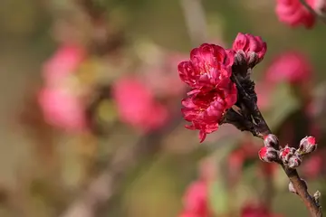 《亲情温暖着我心田》（关于温暖亲情的作文精选）