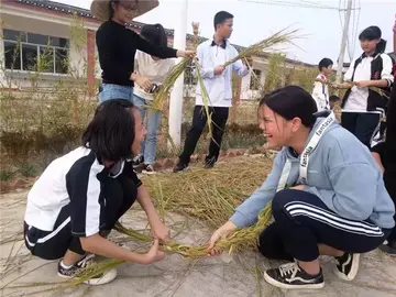 《触到了青春的门槛》（关于青春记忆的作文精选）