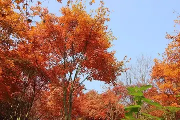 有关平凡日子的作文精选范例（《在充满阳光的日子里》）