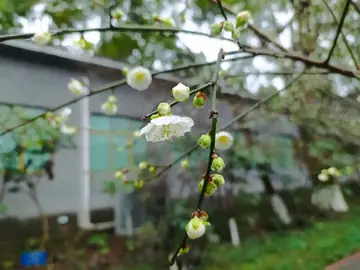 让我感恩的话题优秀作文（《感恩照亮美好人生》）