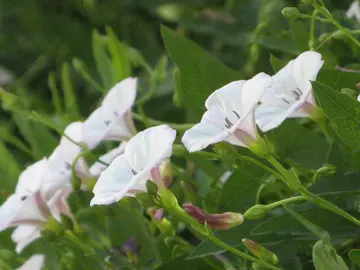 《感恩的心，感谢有你》（关于怀揣感恩的作文精选）