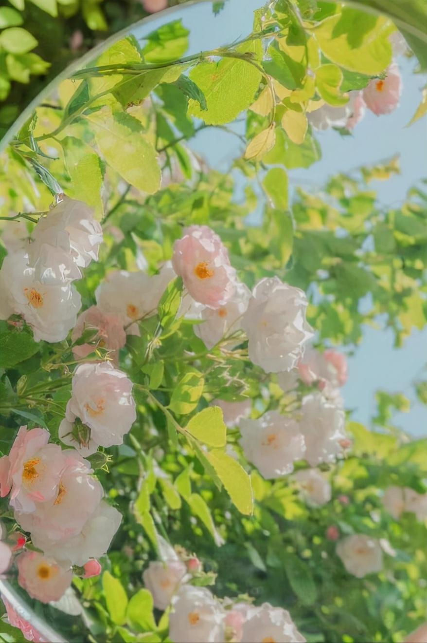 春日踏青小众句子简短（郊游简短文艺句子）