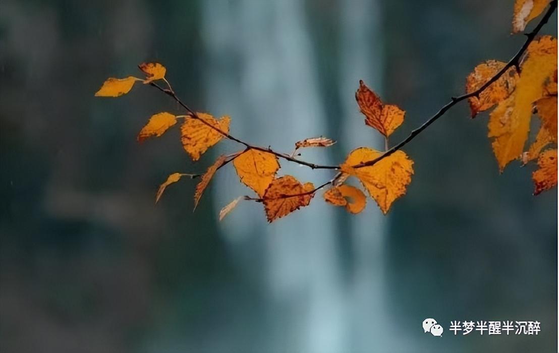 适合秋天发朋友圈的经典语录（秋天高级唯美文案）