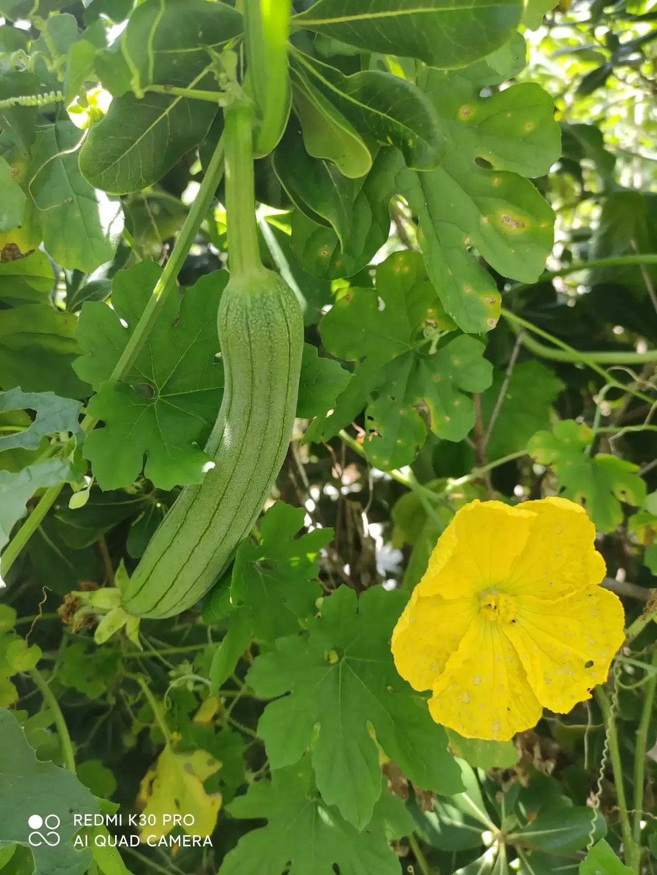 适合秋天朋友圈的唯美文案（秋天的治愈系短句）