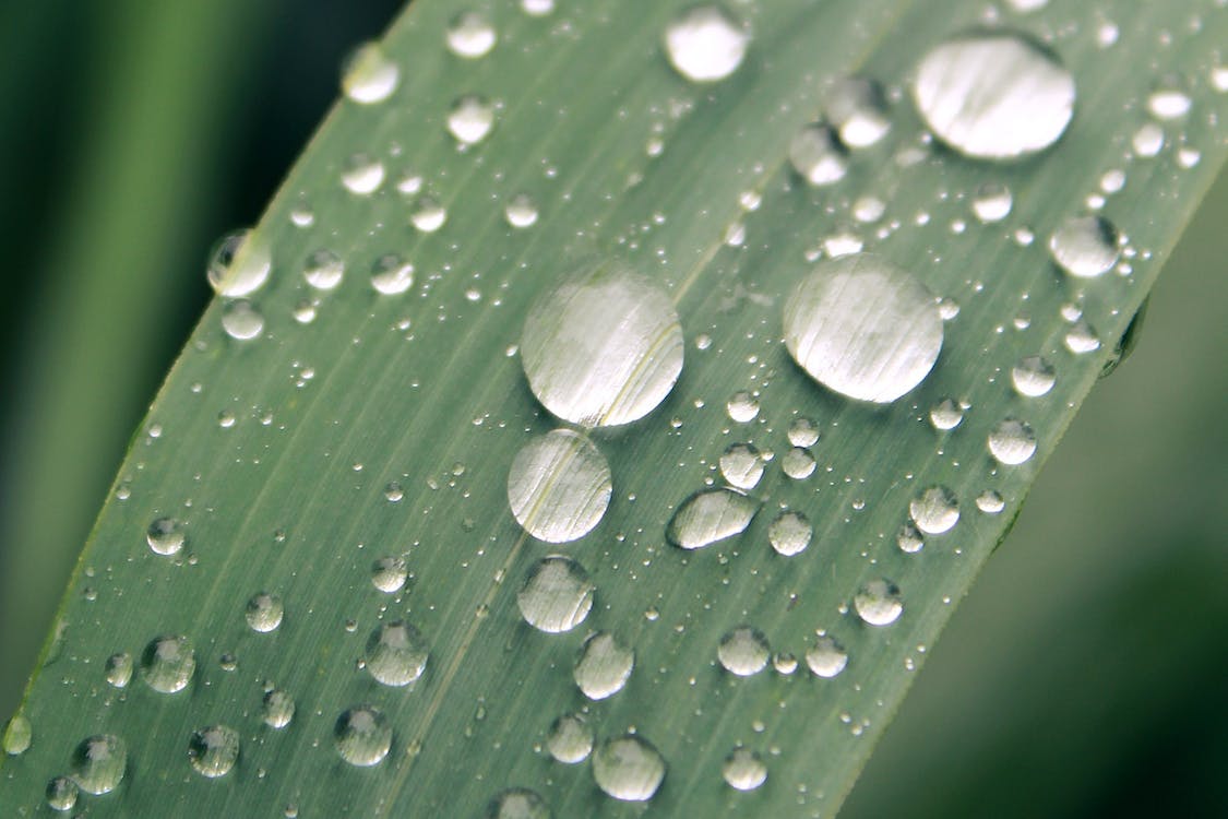 适合雨水节气发朋友圈的句子（形容终于下雨的短句）