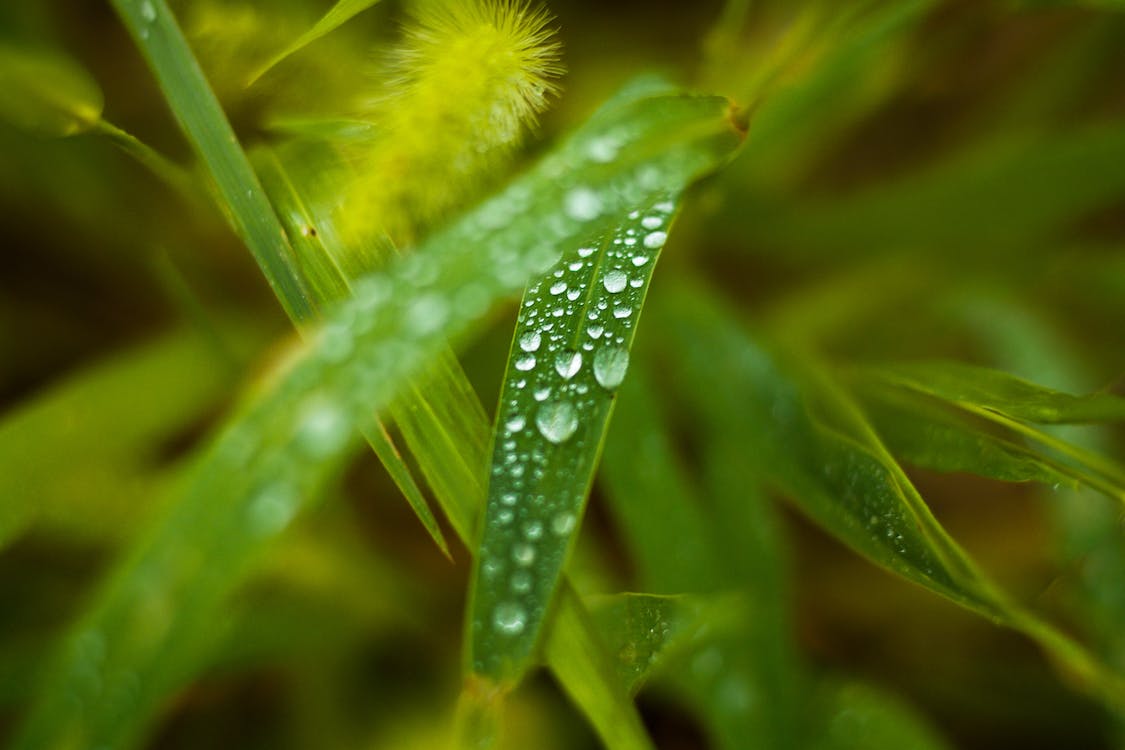 适合雨水节气发朋友圈的句子（形容终于下雨的短句）