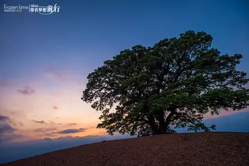 带着梦想出发作文（展翅高飞）