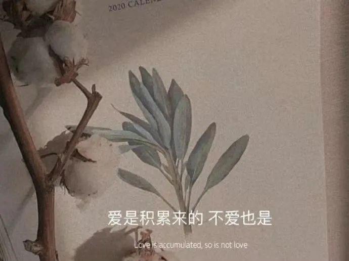 非常小众的清醒短句（让人惊艳的清醒文案）