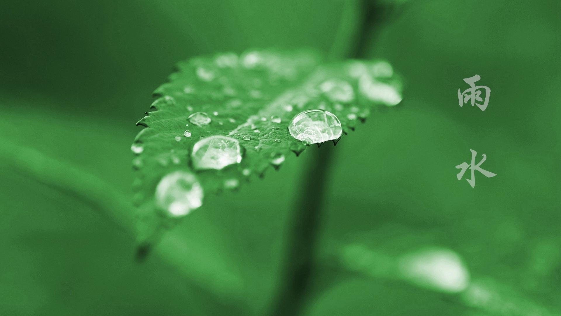 描写春雨诗词的诗句古诗（唯美春雨的诗词）