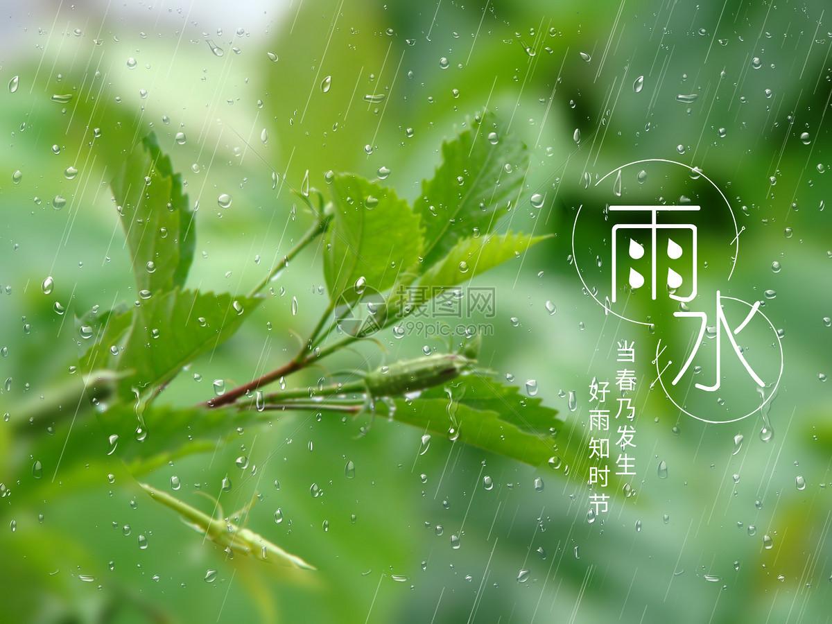 描写春雨诗词的诗句古诗（唯美春雨的诗词）