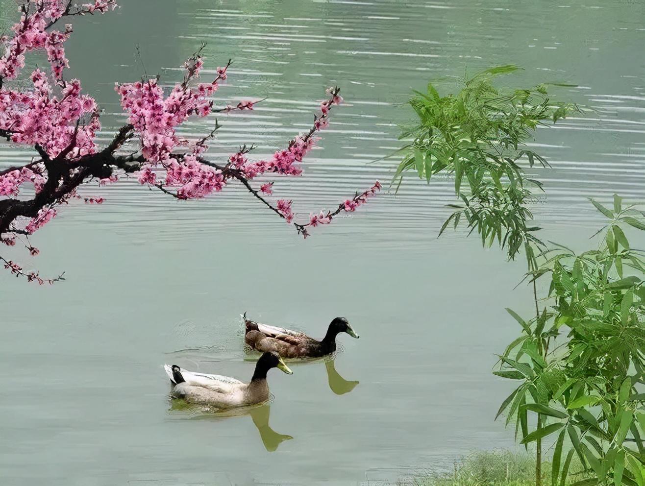 苏轼经典诗歌赏析合集（苏轼东坡十首必背诗词）