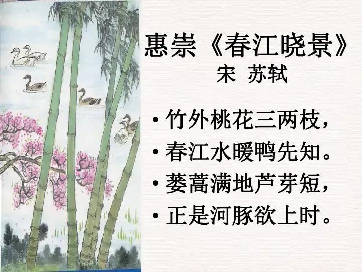 苏轼经典诗歌赏析合集（苏轼东坡十首必背诗词）