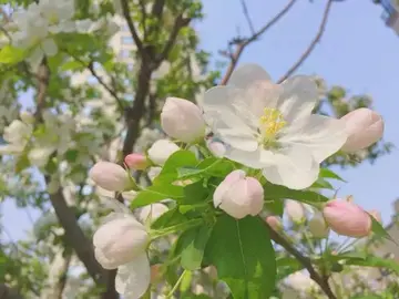 关于春天气息的作文（《充满生机的春天》）