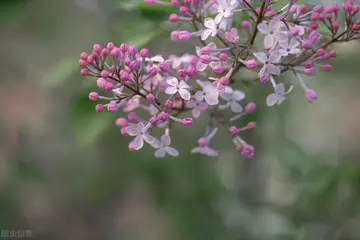 生机勃勃的春天作文（《充满生机的春天》）