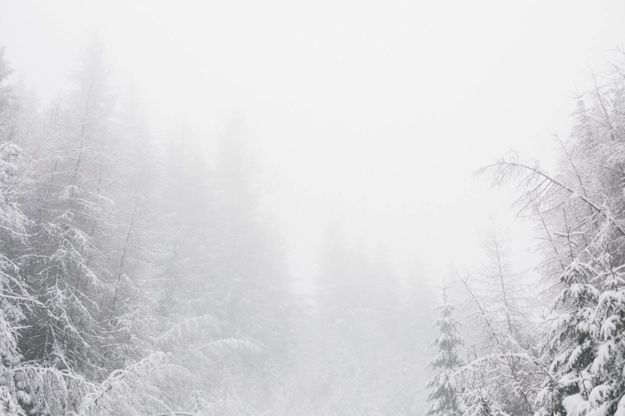 赞美雪花的古诗词（冬天雪景的诗句）