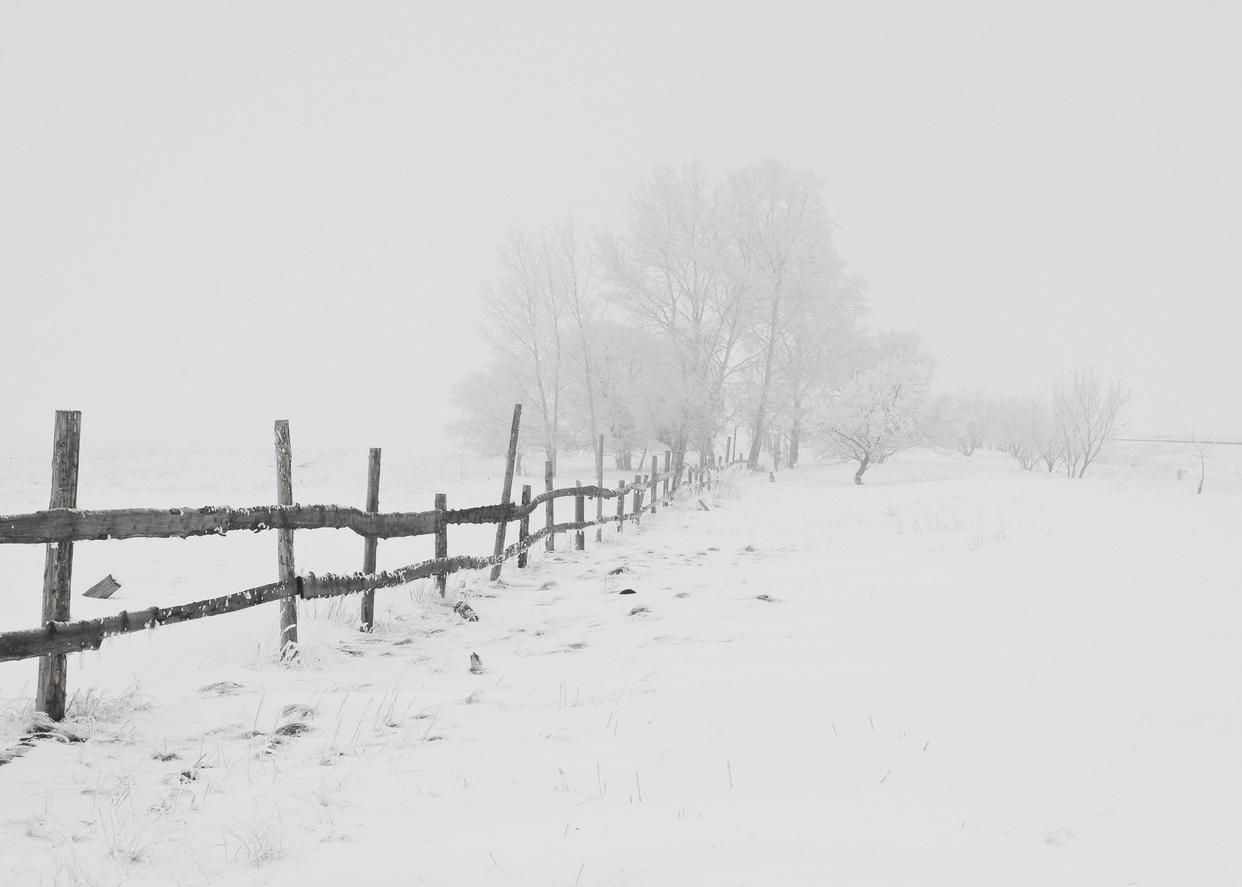 赞美雪花的古诗词（冬天雪景的诗句）