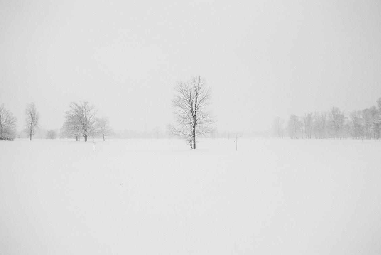 赞美雪花的古诗词（冬天雪景的诗句）