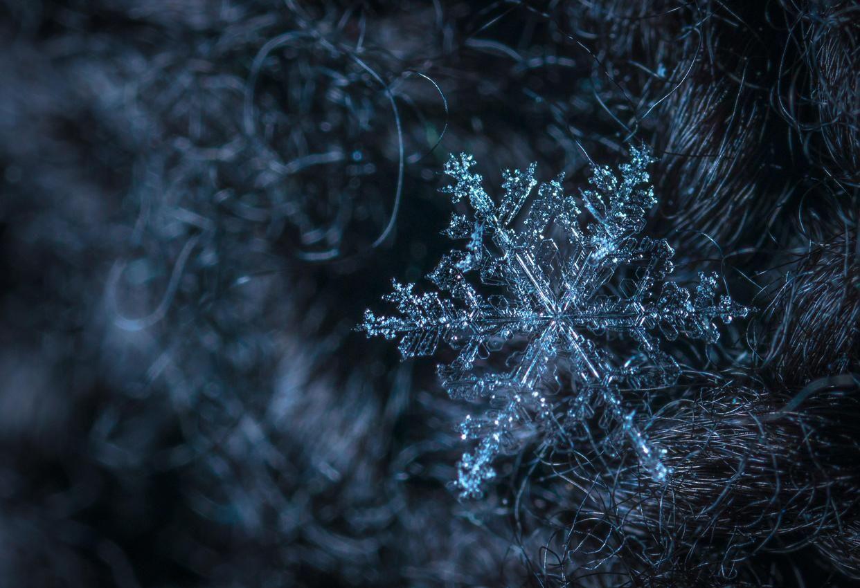 赞美雪花的古诗词（冬天雪景的诗句）