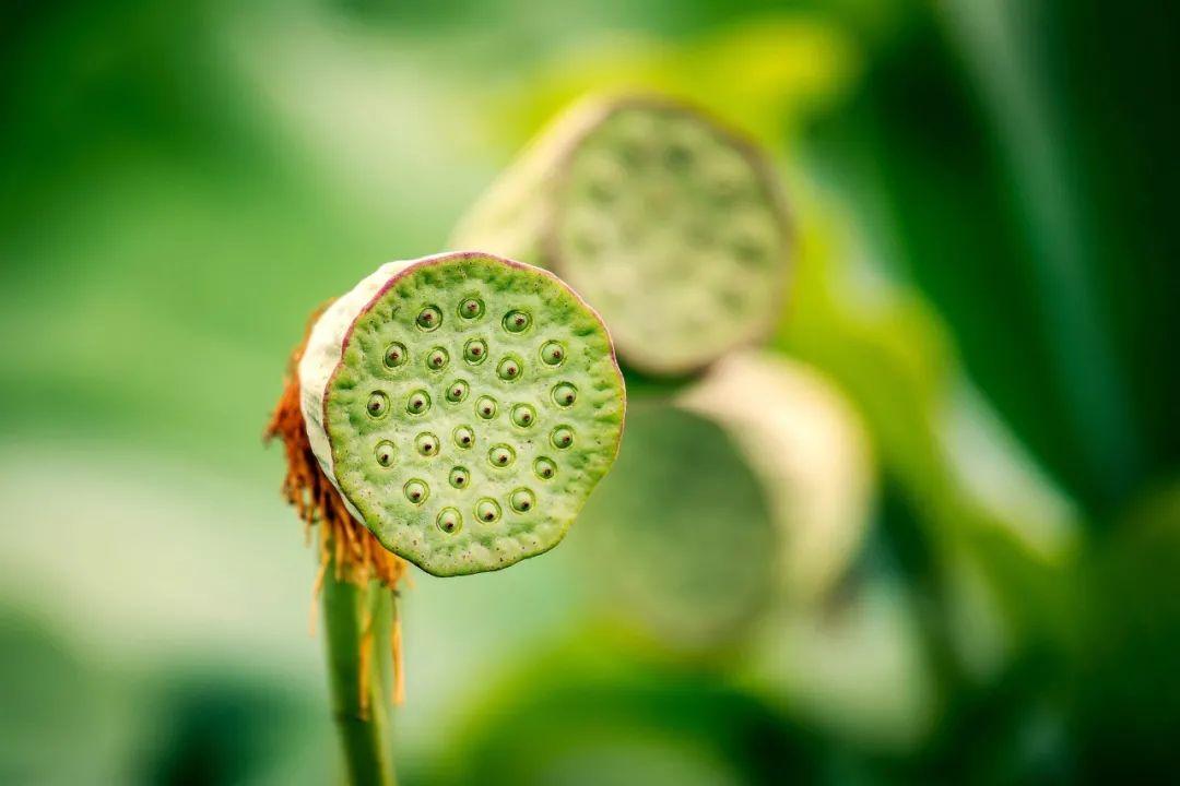 很暖很治愈的诗词赏析（10首治愈诗词）