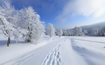 我爱家乡的冬天作文(《纷纷扬扬的雪花》）