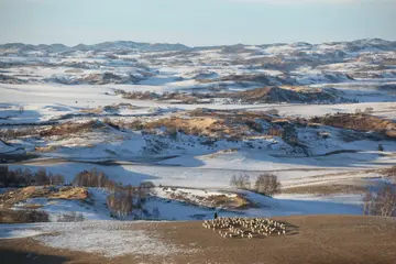 关于冬天的美景作文(《大雪纷飞的冬天》）