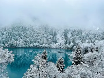 美丽的冬天作文(《大雪纷飞的冬天》）