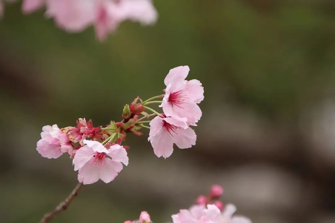 唯美诗词古韵（冷门又好听惊艳的诗句）