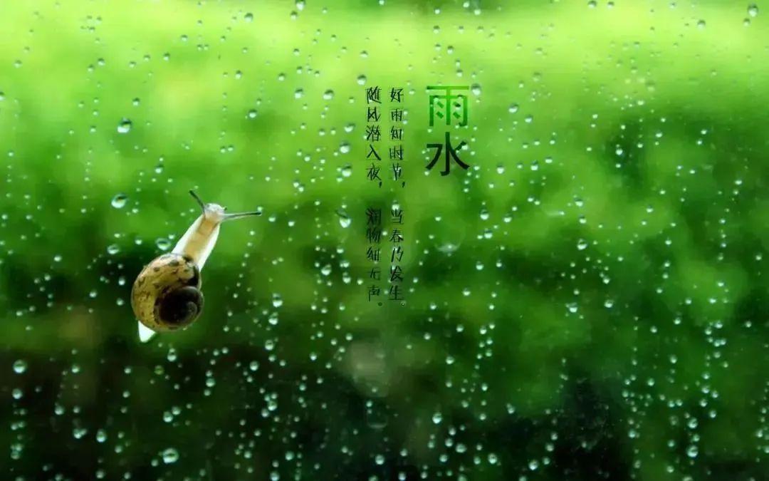 关于雨水的经典古诗（二十四节气雨水诗词）