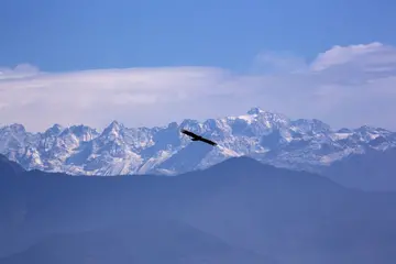 《梦想励志旅程》（关于绽放梦想的作文精选）