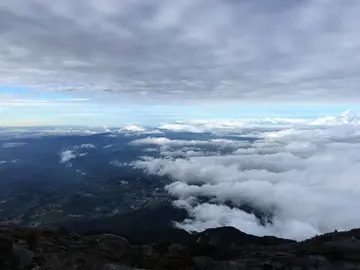 《我的梦想做老师》（关于梦想发芽的作文精选）