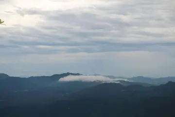 有关梦想向前的作文精选范例（《梦想是前进的动力》）