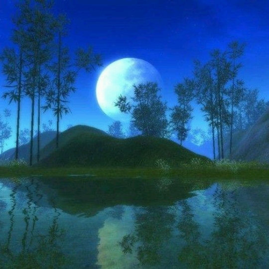 关于月亮的美丽作文（《思念的家乡的月亮》）