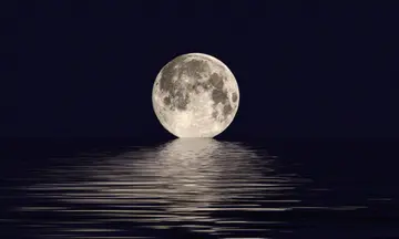 关于中秋的月亮作文（《思念的家乡的月亮》）