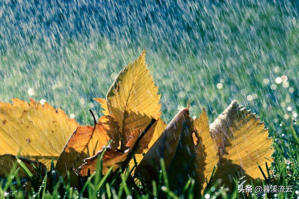 有关秋雨的唯美古诗赏析（下雨天的情诗）