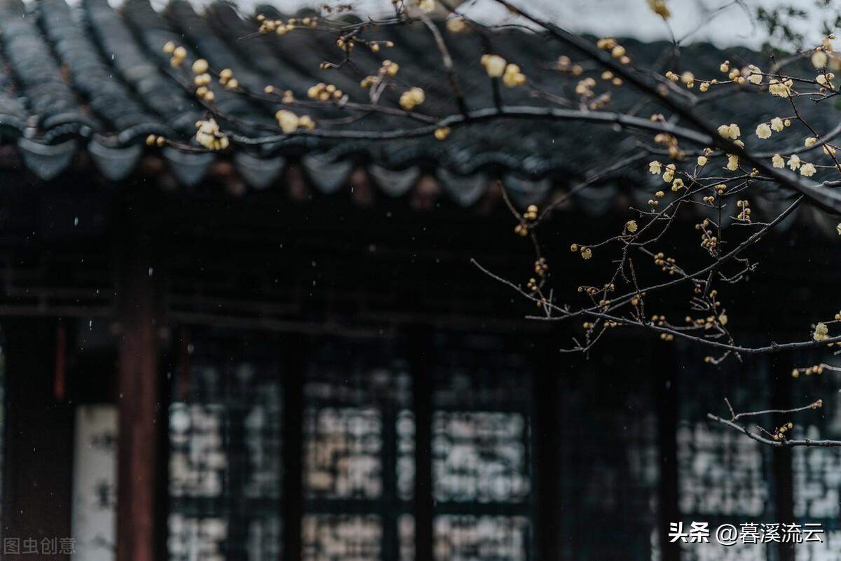 有关秋雨的唯美古诗赏析（下雨天的情诗）