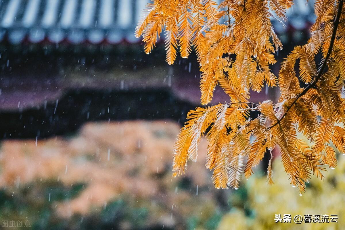 有关秋雨的唯美古诗赏析（下雨天的情诗）