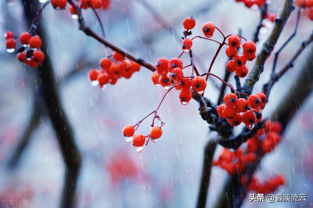 赞美秋雨的优美诗句大全（十首清冷秋雨诗词）