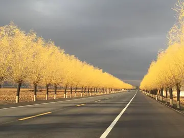 心中的风景作文600字范文（至美的风景）