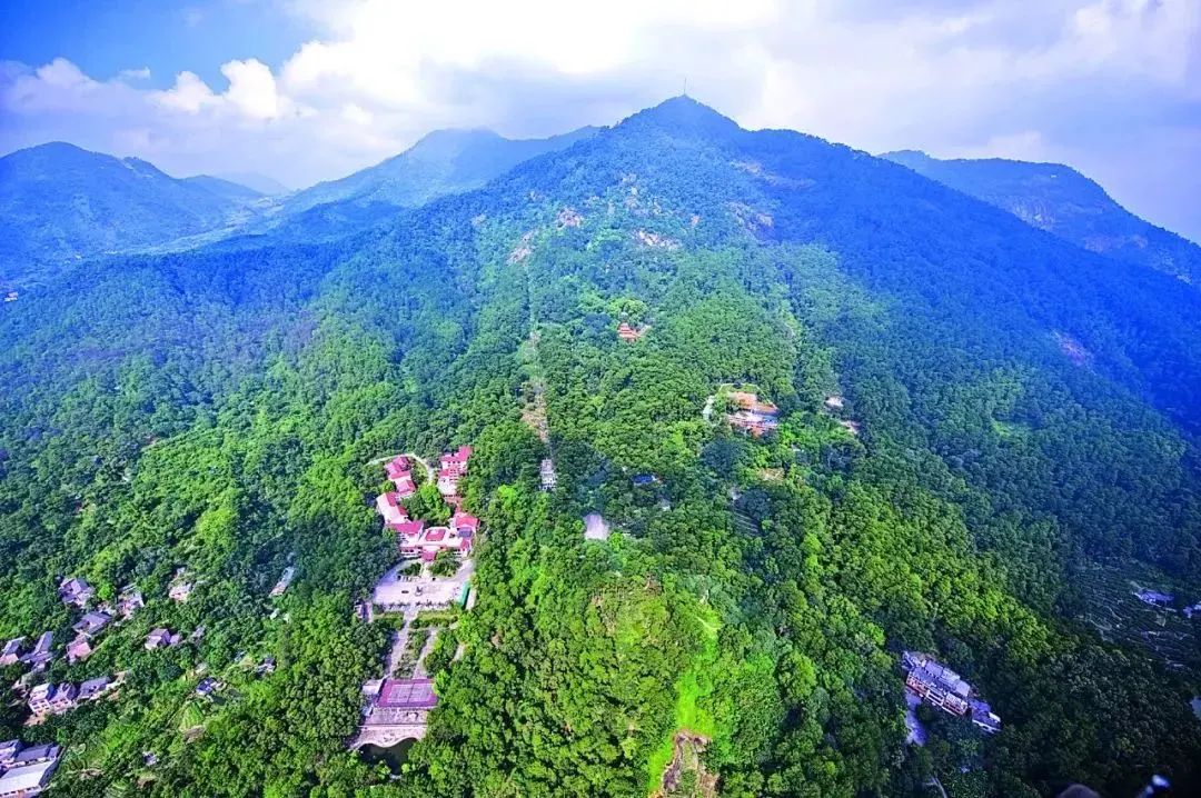 多姿多彩的夏天作文（《夏天的风景》）