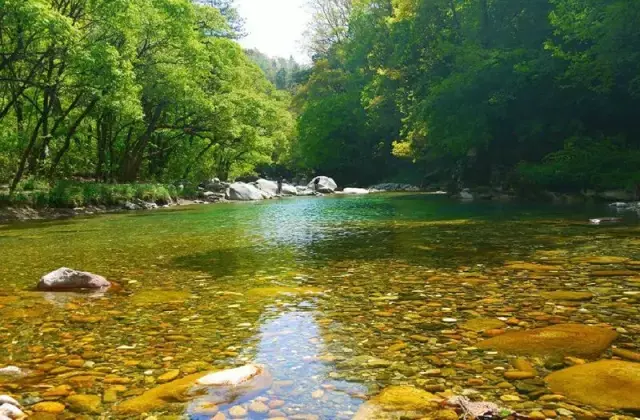 描写夏天风景的优秀作文（《夏天的风景》）