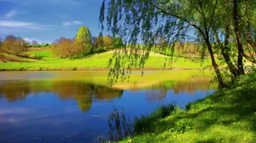 感受夏天的优秀作文（《夏天的风景》）