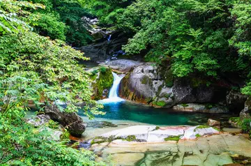 寻找夏天的优秀作文（《夏天的景色》）