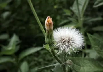 畅谈梦想的话题优秀作文（《谈谈我的梦想》）