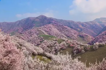 春节的故事作文（《五彩缤纷的春节》）