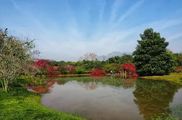 快乐的春节作文（《生机勃勃的春节》）