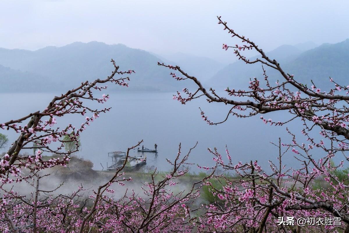 仲春二月花唯美古诗（二月春天的美好诗句鉴赏）