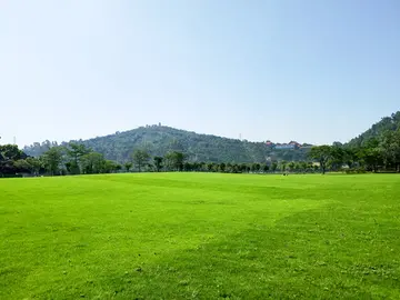 插上梦想的翅膀作文范文（充满信心）