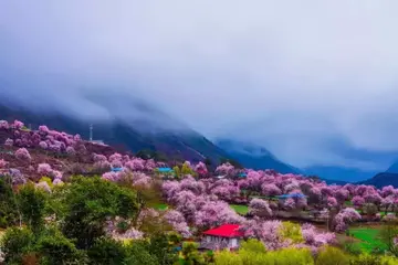 难忘的春节作文（《欢乐的春节》）